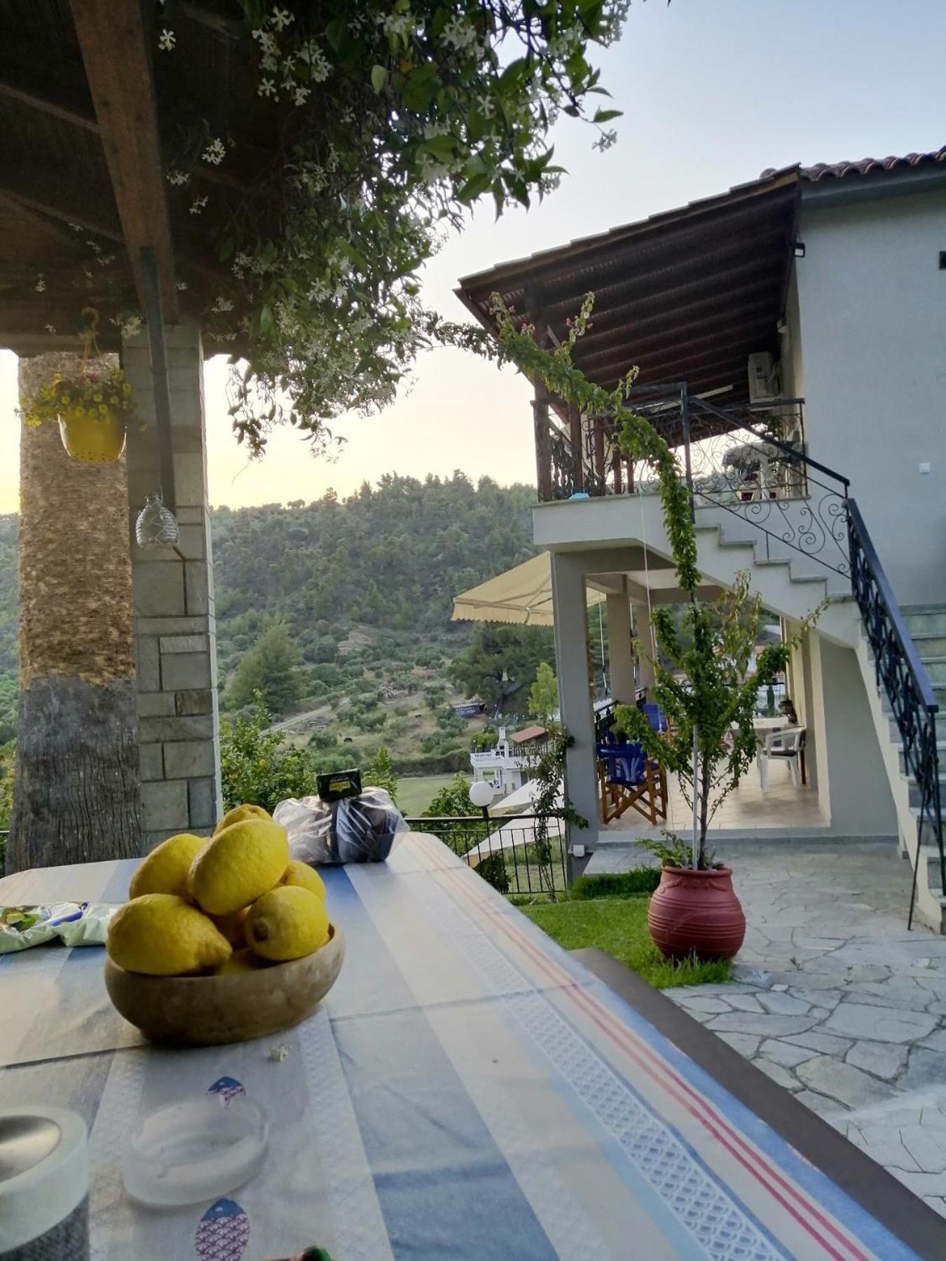 Fotini'S House Apartment Nea Skioni Exterior photo
